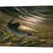 The Chase - Rainbow Trout by Bruce Langton 20" x 16" Canvas Wall Art